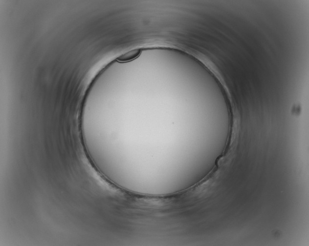 X0000113131197200909251232