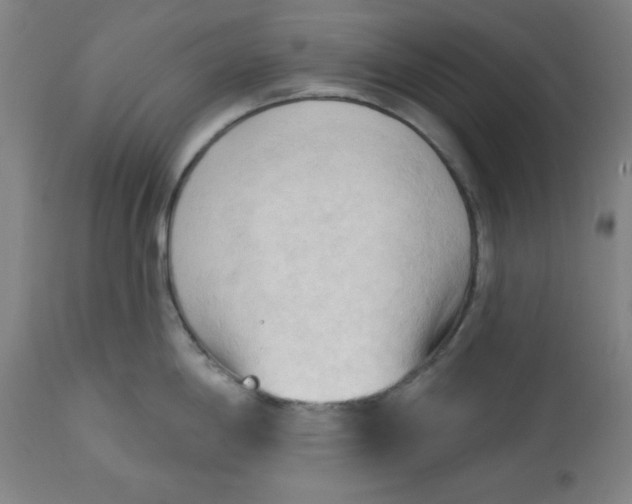 X0000113131198200909251232