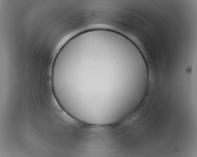 X0000113131199200909251232