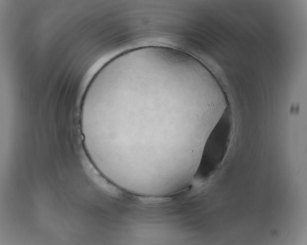 X0000113131200200909251232