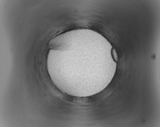 X0000113131201200909251231