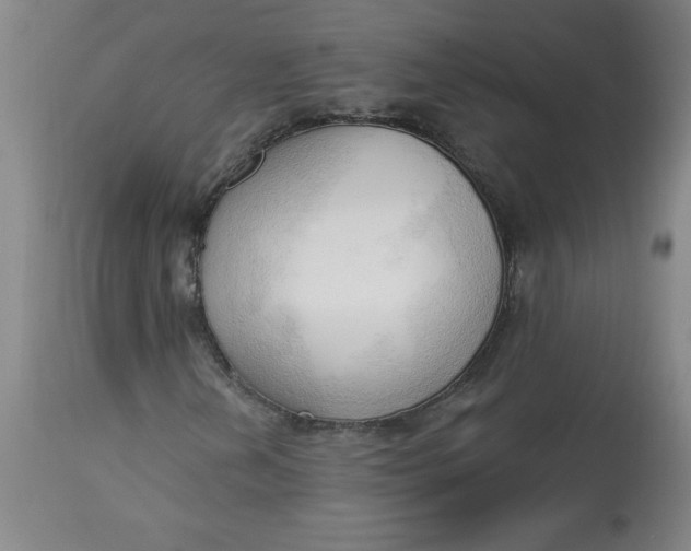 X0000113131202200909251231