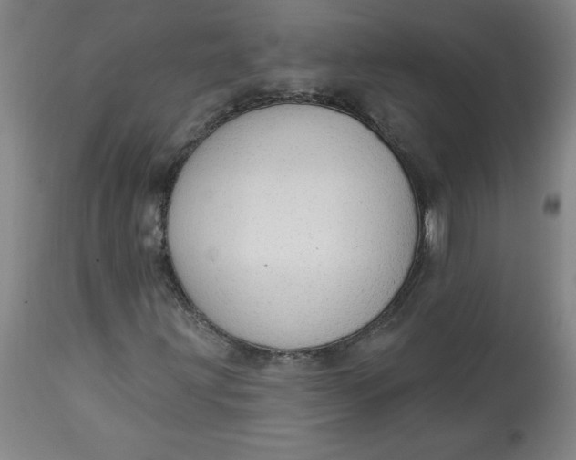 X0000113131203200909251231