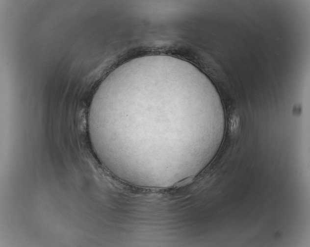 X0000113131204200909251231