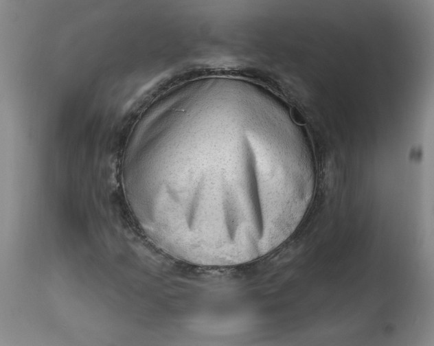 X0000113131205200909251231