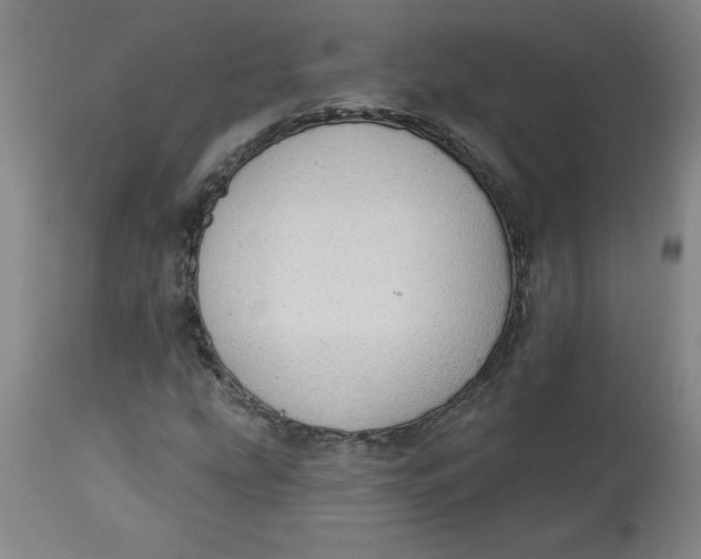 X0000113131207200909251231