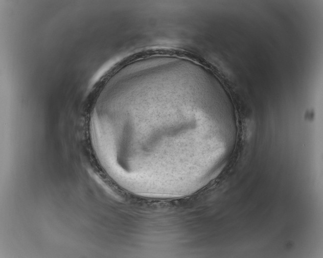 X0000113131208200909251231