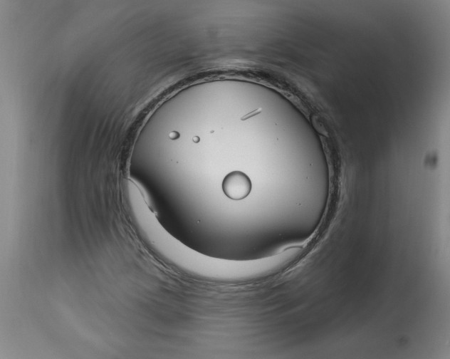 X0000113131209200909251231