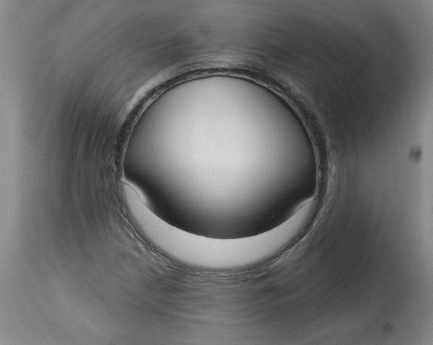 X0000113131210200909251231