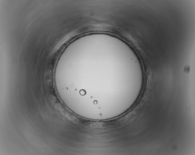 X0000113131211200909251231