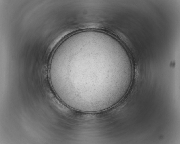 X0000113131212200909251231