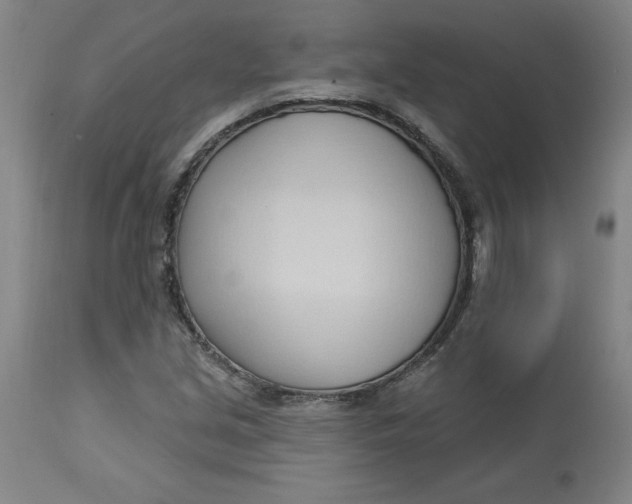 X0000113131213200909251231