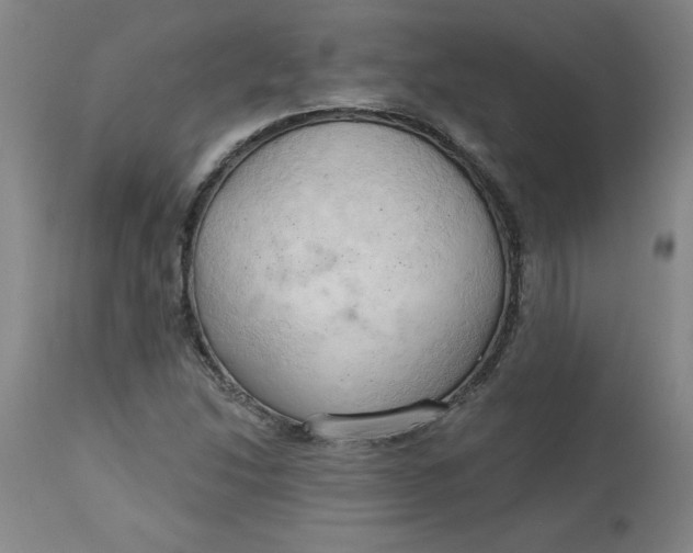 X0000113131214200909251231