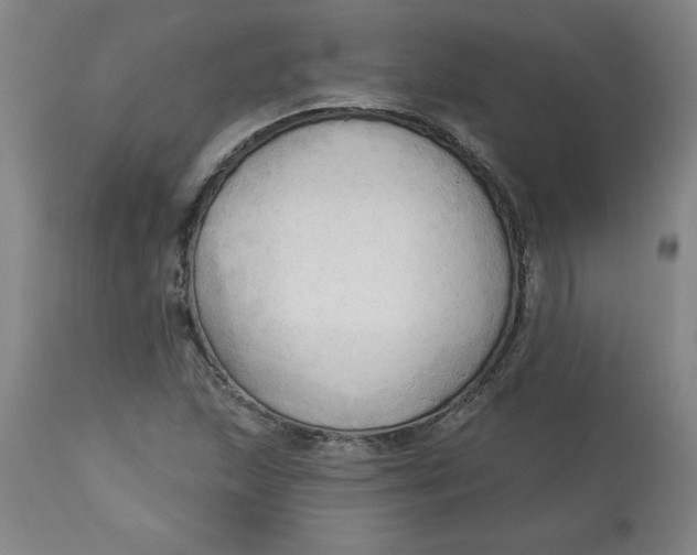 X0000113131215200909251231