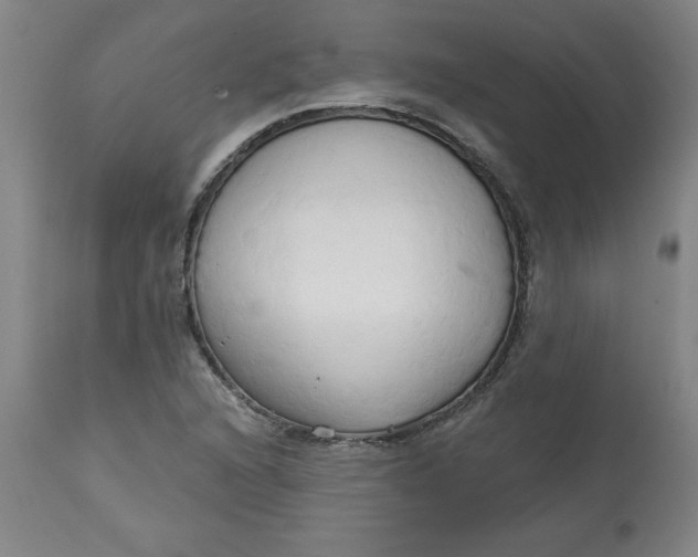 X0000113131216200909251231