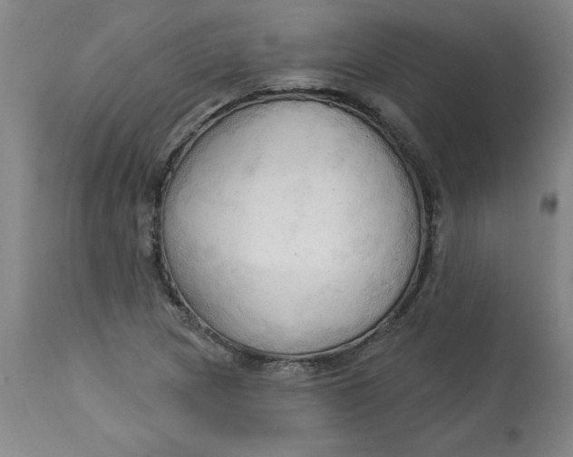 X0000113131217200909251231