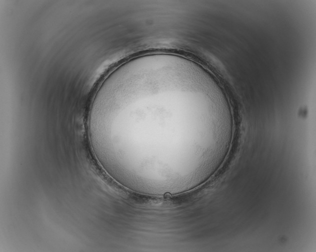 X0000113131218200909251231