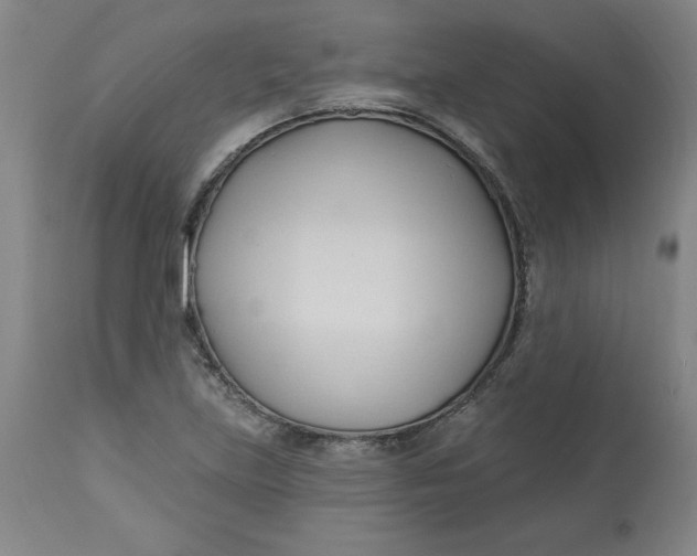 X0000113131219200909251231