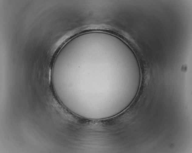 X0000113131221200909251231