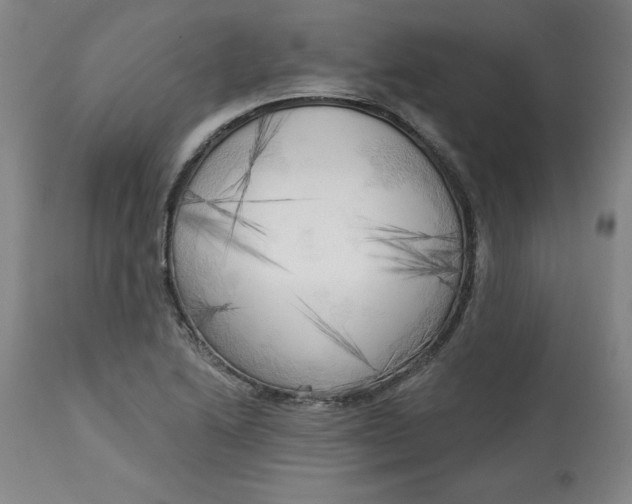 X0000113131222200909251231