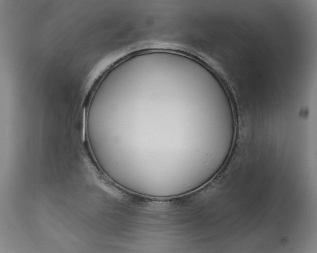 X0000113131223200909251231