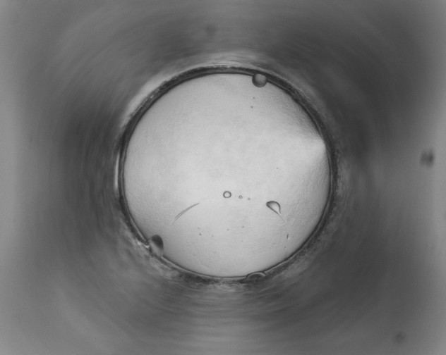 X0000113131224200909251231