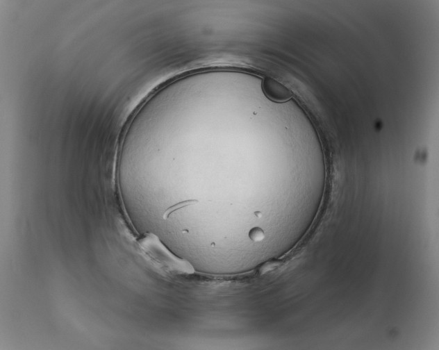 X0000113131228200909251231