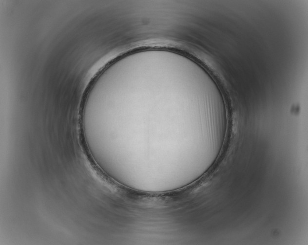 X0000113131229200909251231