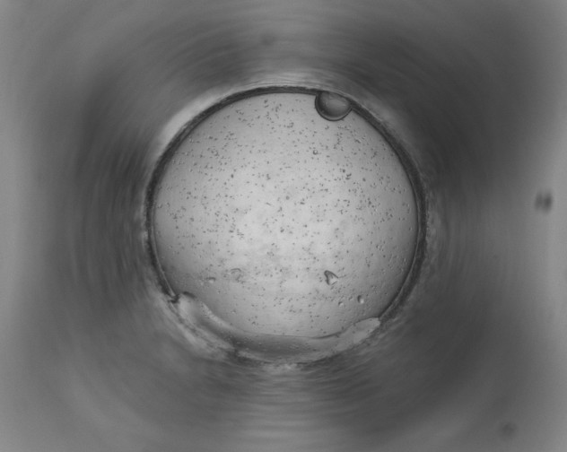 X0000113131230200909251231