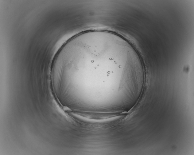 X0000113131231200909251231