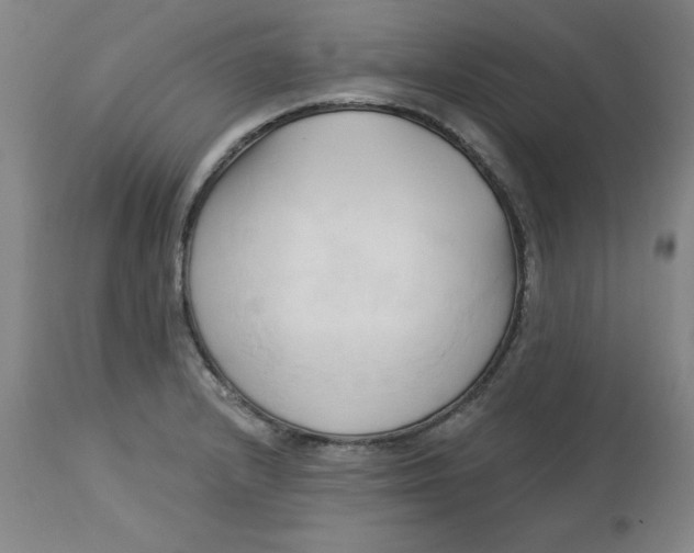 X0000113131232200909251231