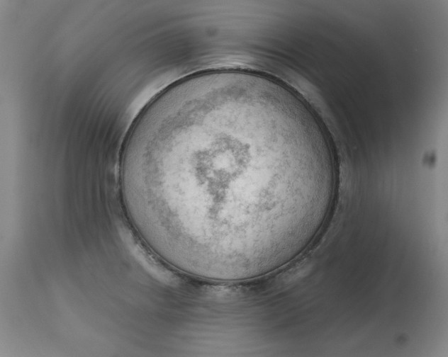 X0000113131234200909251232