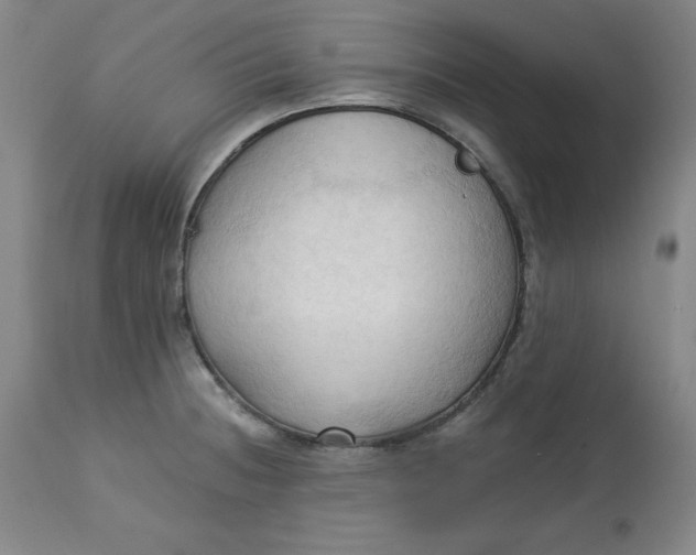 X0000113131236200909251232