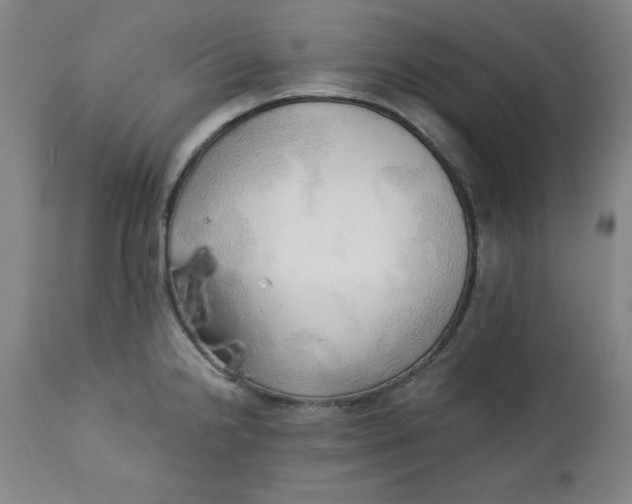 X0000113131238200909251232