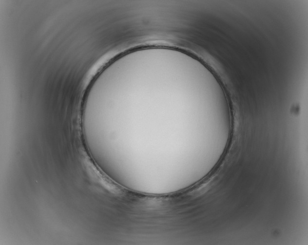 X0000113131240200909251232