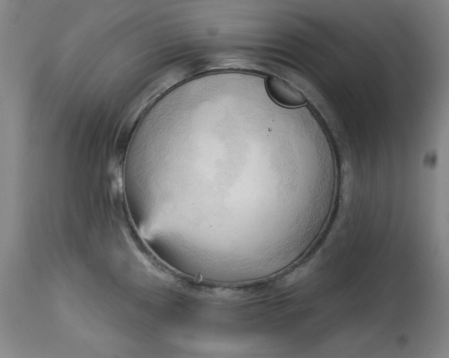 X0000113131241200909251232