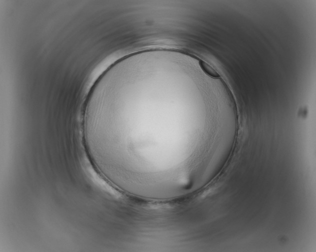 X0000113131243200909251232