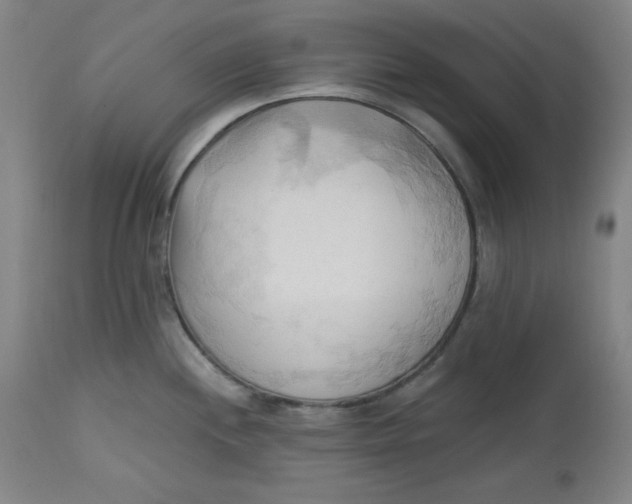 X0000113131244200909251232