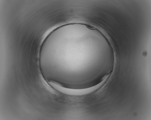 X0000113131246200909251232