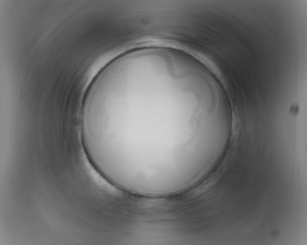 X0000113131247200909251232