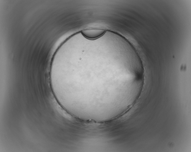 X0000113131248200909251232