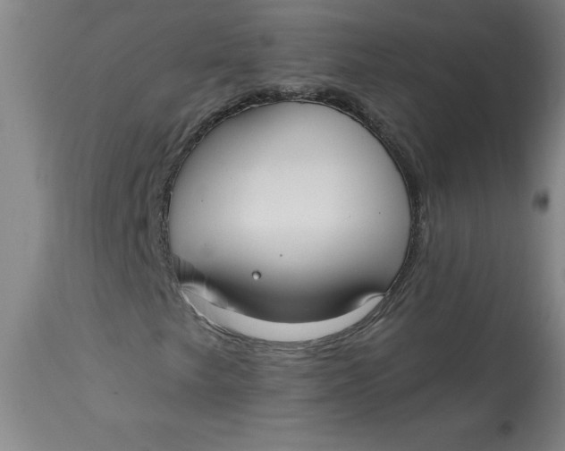 X0000113131249200909251231