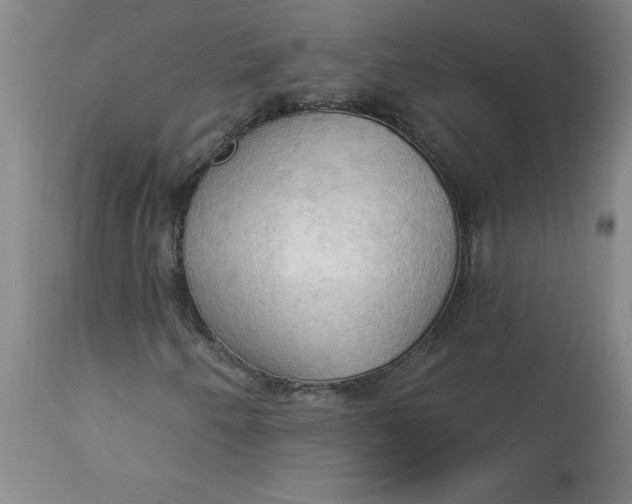 X0000113131250200909251231