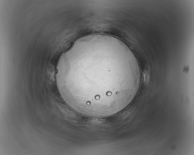 X0000113131251200909251231