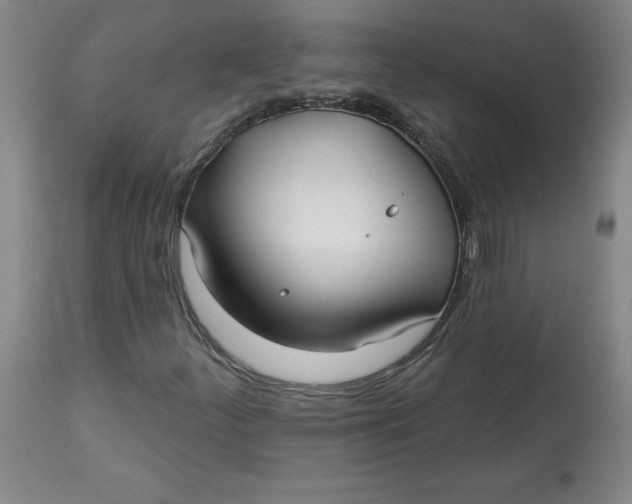 X0000113131252200909251231