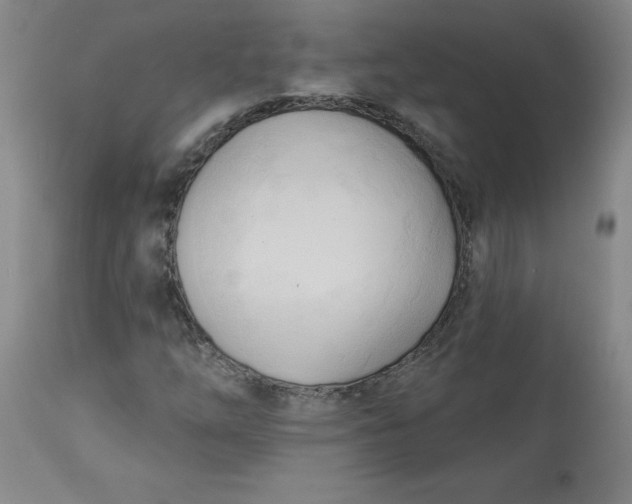 X0000113131254200909251231