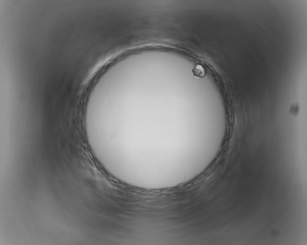 X0000113131256200909251231