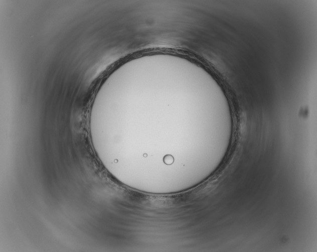 X0000113131258200909251231