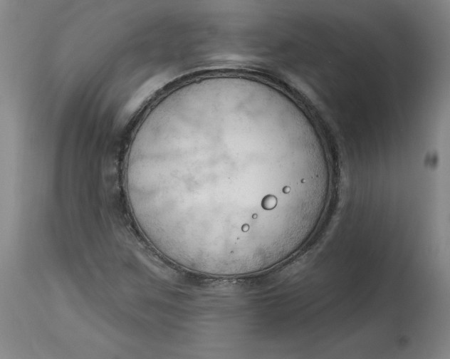 X0000113131259200909251231