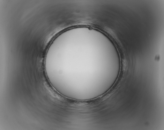 X0000113131260200909251231